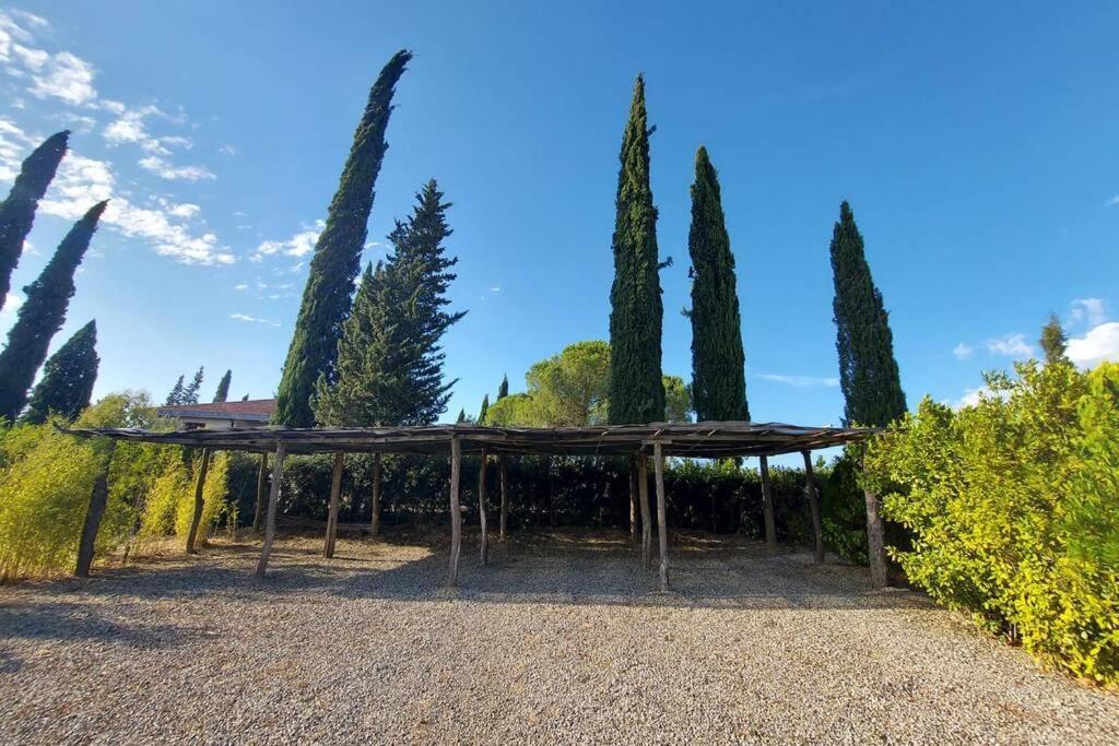 Appartement Il Paretaietto à Certaldo Extérieur photo