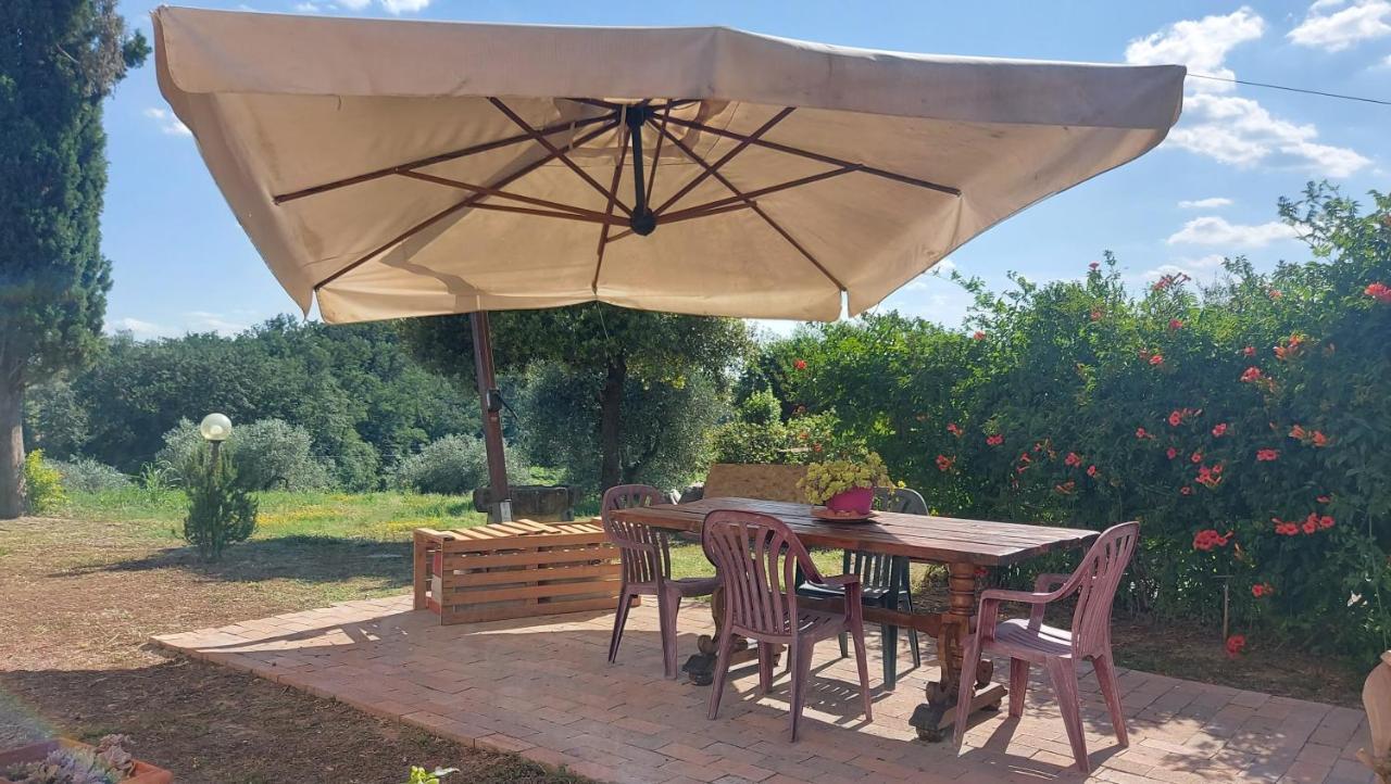 Appartement Il Paretaietto à Certaldo Extérieur photo